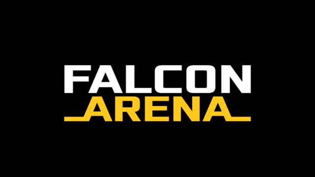 Capture 1 – FALCON ARENA