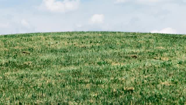 Capture 1 – Carpentersville