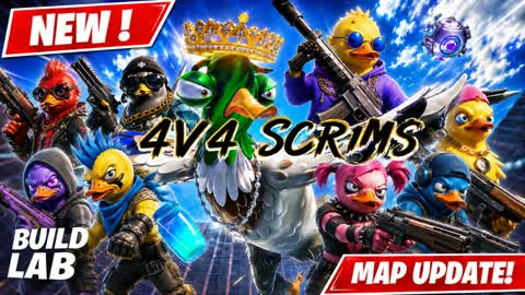 Box Scrims 4V4