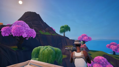Island image