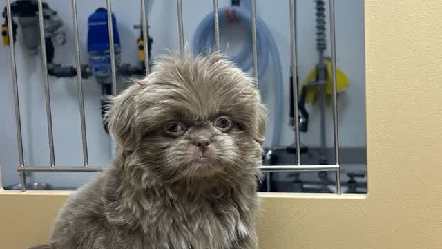 Sniper and shotgun only one shot map