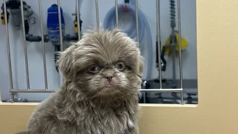 Sniper and shotgun only one shot map