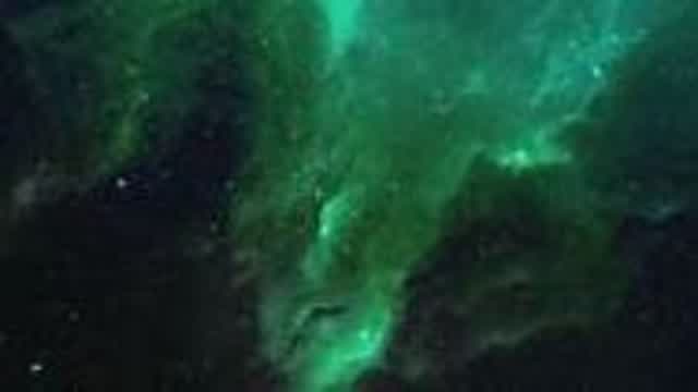 4Kreative Box Fights!