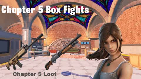 Chapter 5 Box fights