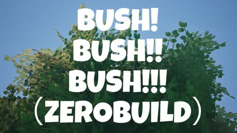 BUSH! BUSH!! BUSH!!! (ZEROBUILD)