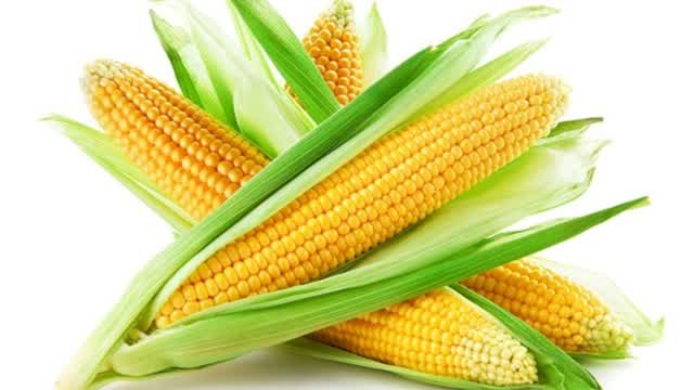 Capture 1 – Mazorchat Zone Wars