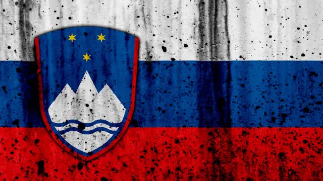 đžđź SLOVENIAN BOXFIGHT đžđź