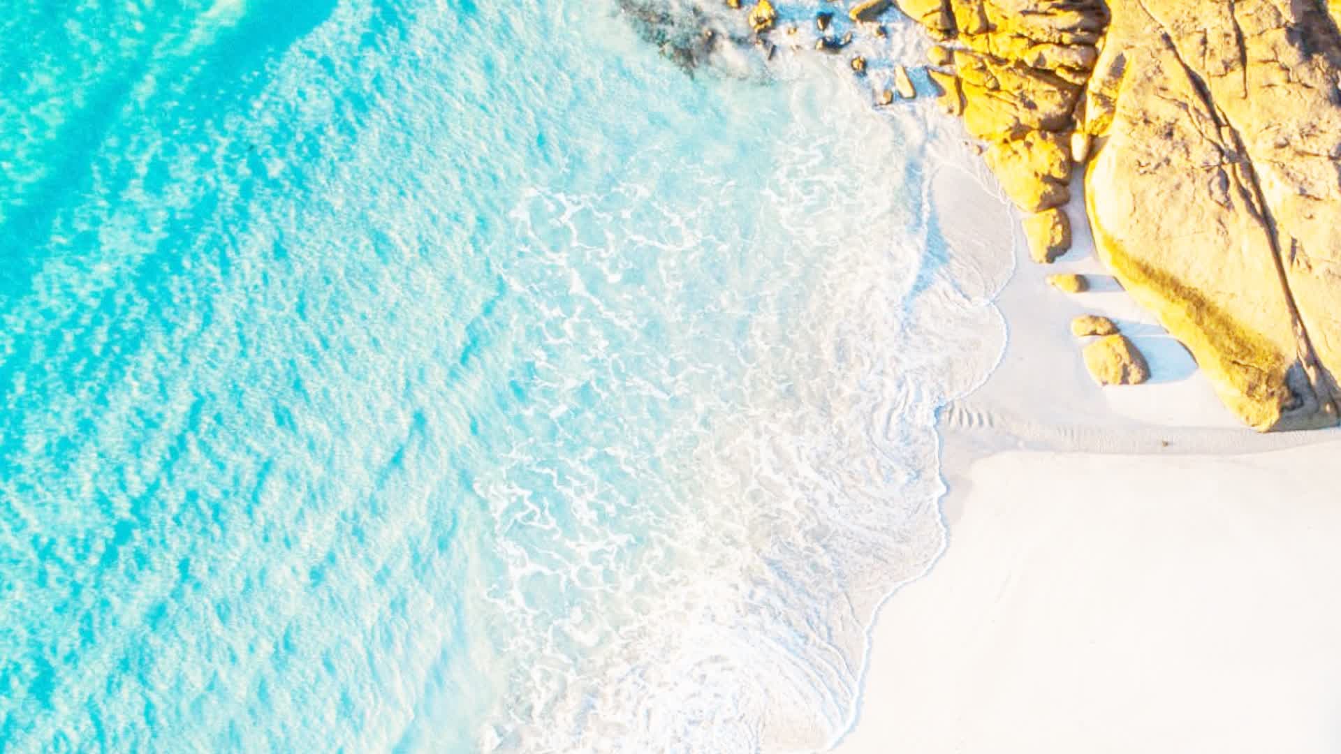 🏖️ 熱帯海岸でトリックスコープを決めろ！