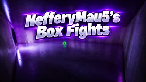 NefferyMau5's Box fights