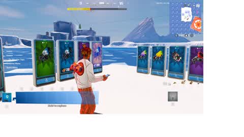 Snowballfights