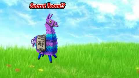 secret room for level