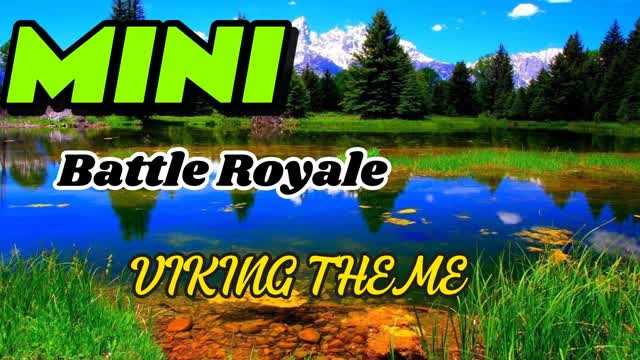 Mini Battle-Royal