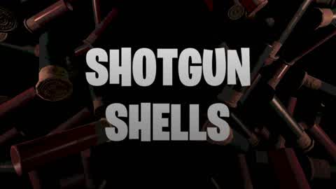 SHOTGUN SHELLS