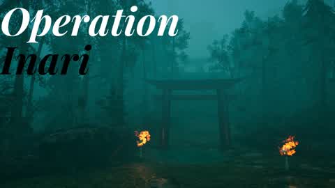 Operation INARI