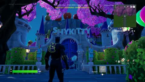 ShyKittys World
