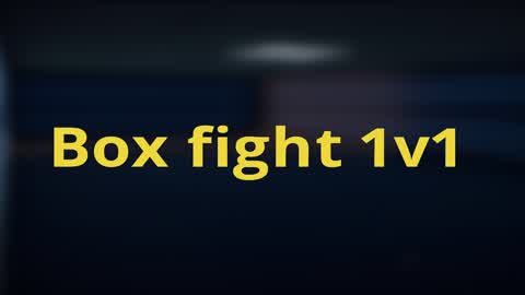 box fight 1v1