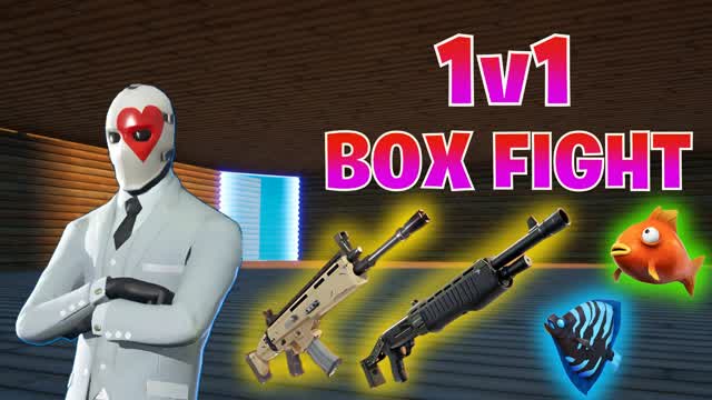 1v1 BOX FIGHTS
