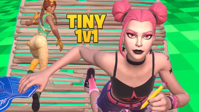 Tiny 1v1