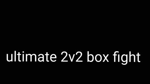 Ultimate 2v2 box fight