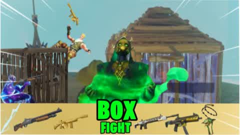 box fight