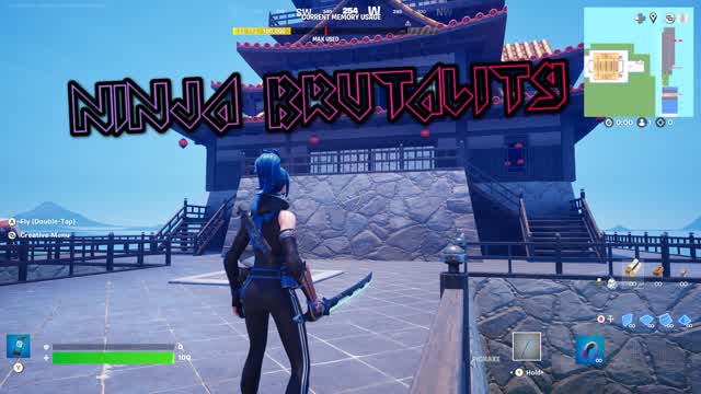Capture 1 – Ninja Brutality