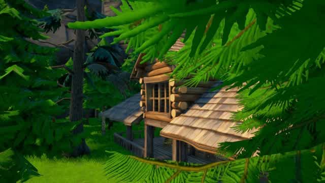 Capture 1 – 謎の森からの脱出