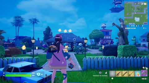 Island image