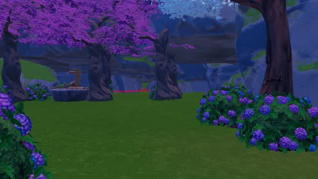 Hide and Seek in the wods