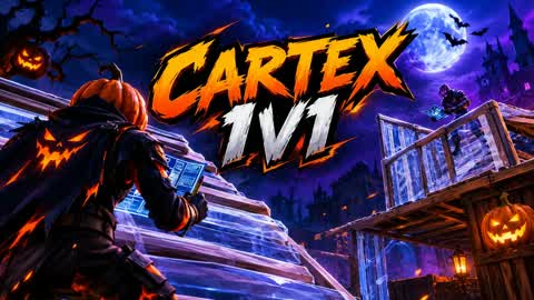 X1v1 card