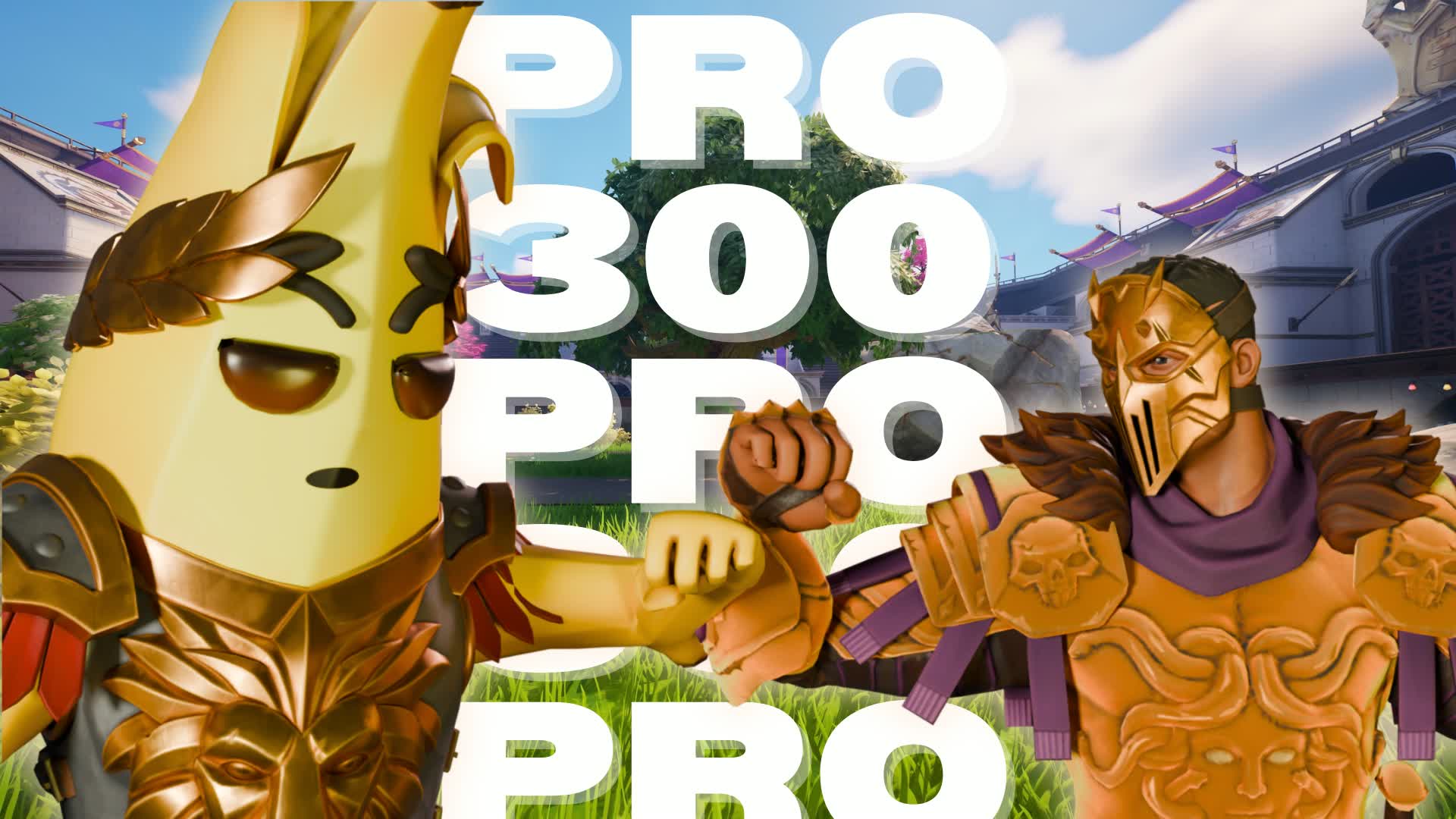 Pro300