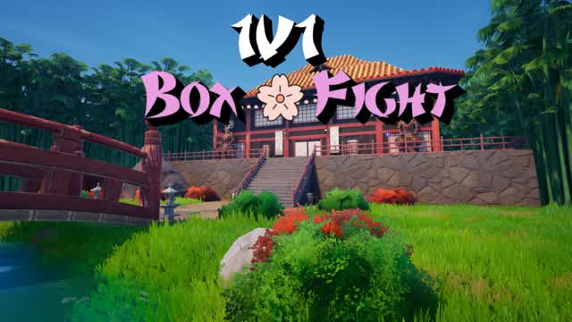 BoxFight 1v1