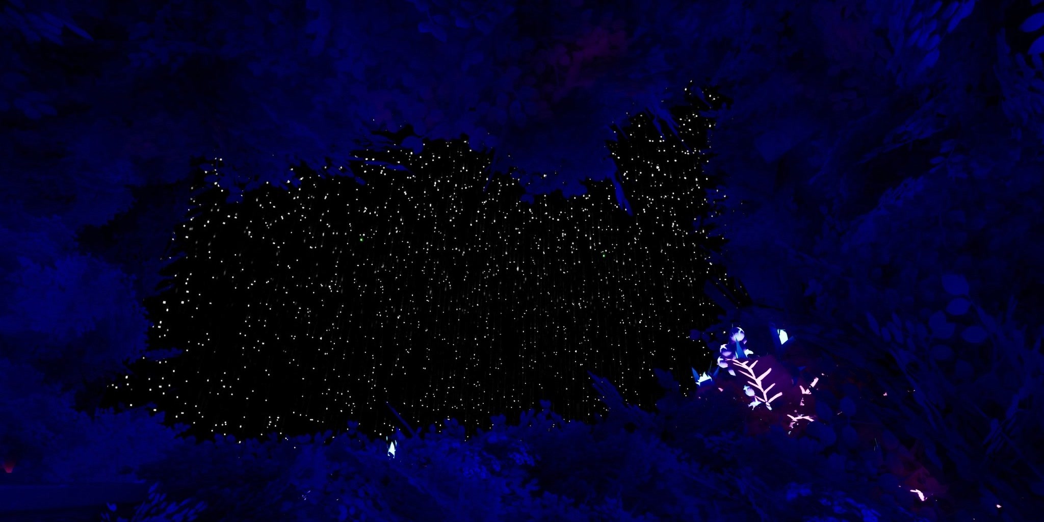 Map Image 2