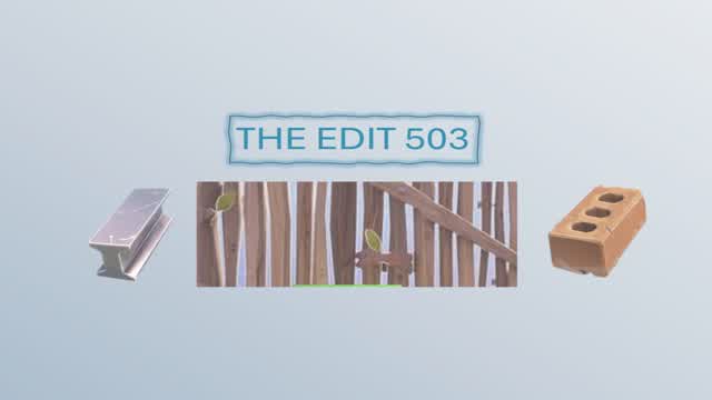 The EDiT 503