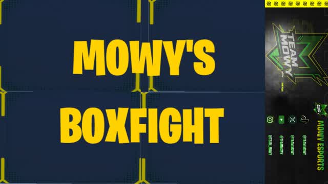 MOWY'S BOXFIGHT