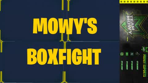 MOWY'S BOXFIGHT