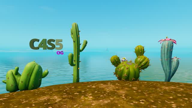 Capture 1 – 🌵練習してるかも🌵(C4S5)