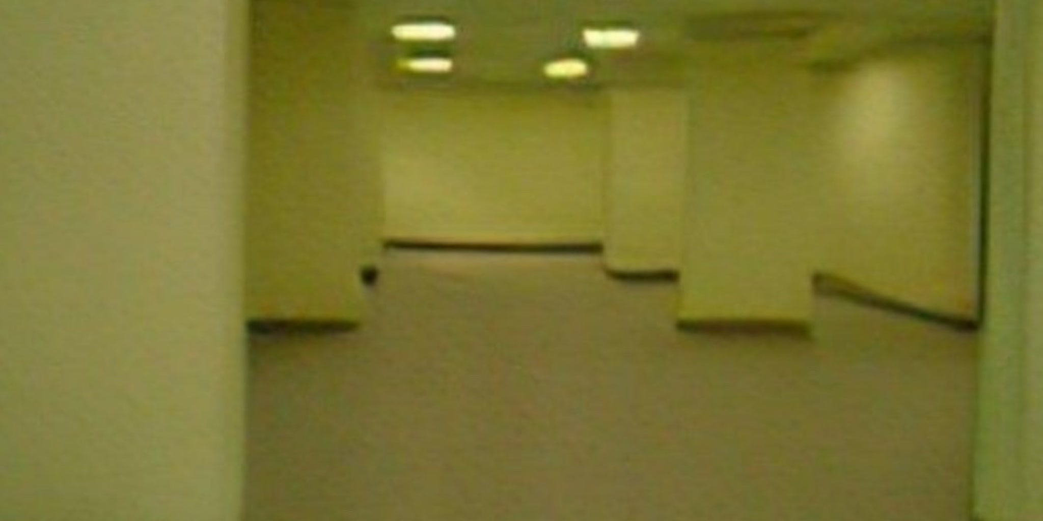The Backrooms 1 LIFE