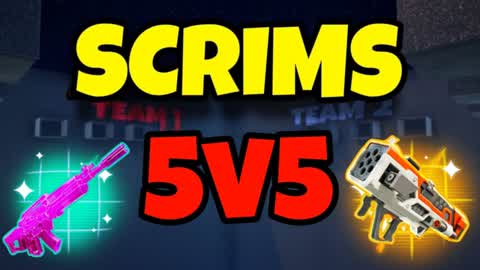 SCRIMS 5V5