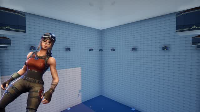 Renegade Raider Zonewars