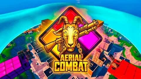 AERIAL COMBAT