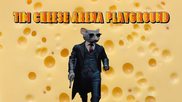 TIM CHEESE ARENA PLAYGROUND