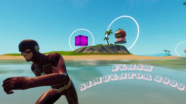 Flash simulator 2000