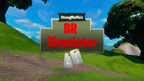 BR Simulator