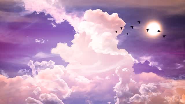 🌈Dream🌈