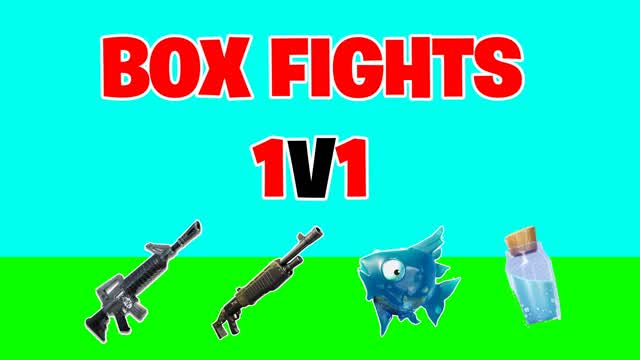 1V1 BOX FIGHTS