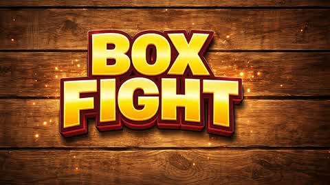 BOX FIGHT BY THE