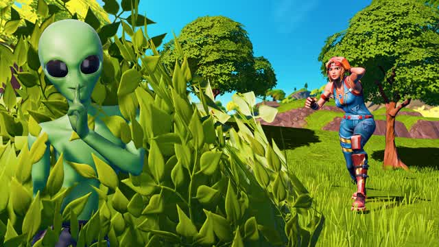 Capture 1 – HIDE AND SEEK 🏝️ BUSHCAMP ISLAND