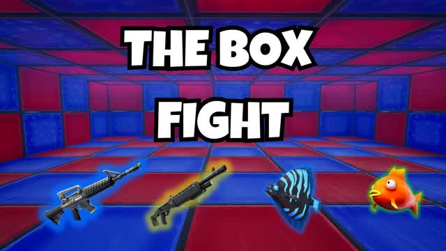 The Box Fight