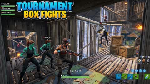 Tournament Box fights