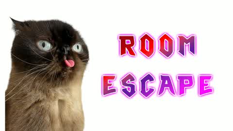 🧠 Moods Cat IQ Escape Room 🔑